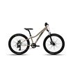 Picture of Polygon Relic 24 Kids Mountain Bike